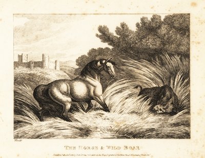 Koń i dzik walczą na pastwisku. 1811 (akwaforta) autorstwa Samuel Howitt
