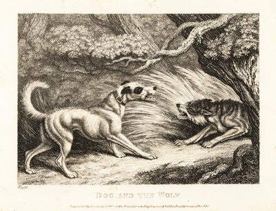 Pies domowy w obroży oferuje jedzenie głodnemu wilkowi. 1811 (akwaforta) autorstwa Samuel Howitt