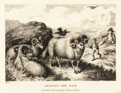 Kawka śpiewa na grzbiecie barana. 1811 (akwaforta) autorstwa Samuel Howitt