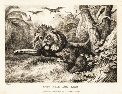 Lew i dzik walczą, a nad nimi krążą sępy. 1811 (akwaforta) autorstwa Samuel Howitt