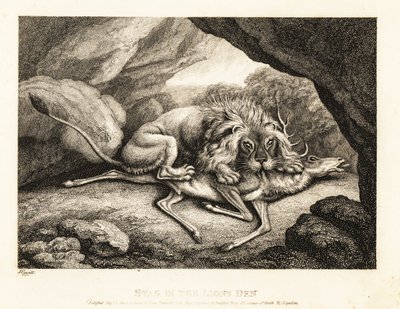 Lew jedzący zwłoki jelenia w jaskini. 1811 (akwaforta) autorstwa Samuel Howitt