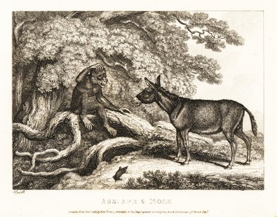 Małpa i osioł jęczą, dopóki kret ich nie uciszy. 1811 (akwaforta) autorstwa Samuel Howitt