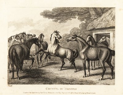 Młody źrebak próbuje wywołać bunt w stajni. 1811 (akwaforta) autorstwa Samuel Howitt