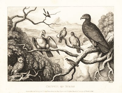 Orzeł przewodniczy dworowi ptaków na drzewie. 1811 (akwaforta) autorstwa Samuel Howitt