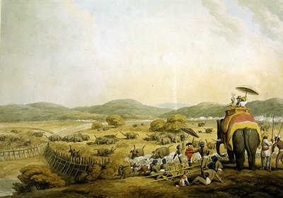 Wbijanie słoni do Dżuddy (akwarela na papierze) autorstwa Samuel Howitt