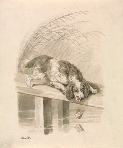 El Allqu y El Sombra pulido autorstwa Samuel Howitt