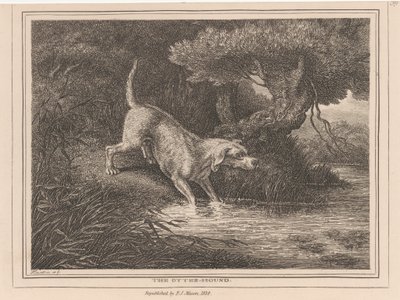 Pies wydry autorstwa Samuel Howitt