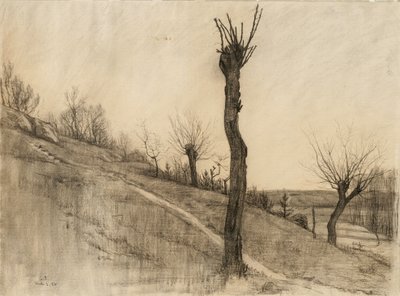 Pejzaż późnozimowy, 1884 (węgiel na buff lay paper) autorstwa Samuel Isham