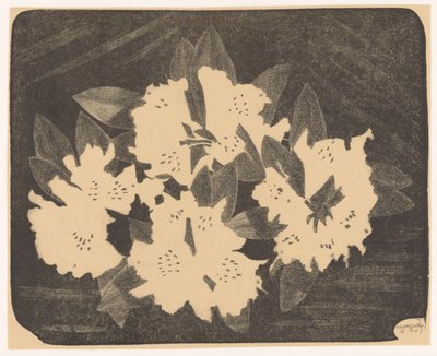 Rododendron autorstwa Samuel Jessurun de Mesquita (signed by artist)