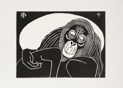 Orangutan autorstwa Samuel Jessurun de Mesquita