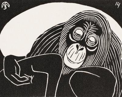 Orangutan autorstwa Samuel Jessurun de Mesquita