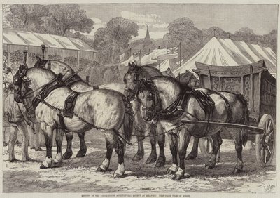 Spotkanie Towarzystwa Rolniczego Lincolnshire w Sleaford, drużyna koni pierwszej nagrody autorstwa Samuel John Carter