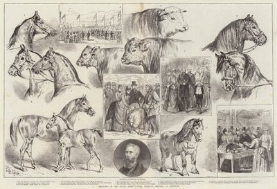 Szkice na spotkaniu Królewskiego Towarzystwa Rolniczego w Norwich autorstwa Samuel John Carter