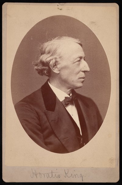 Portret króla Horatio 1811-1897, w latach 1876-1880. autorstwa Samuel Montague Fassett