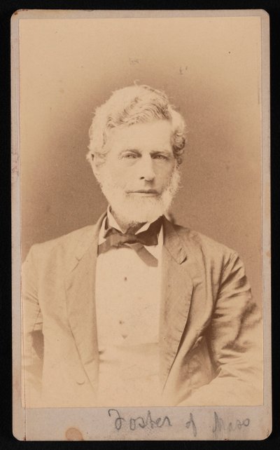 Portret pana Fostera z Massachusetts, w latach 1876-1880. autorstwa Samuel Montague Fassett
