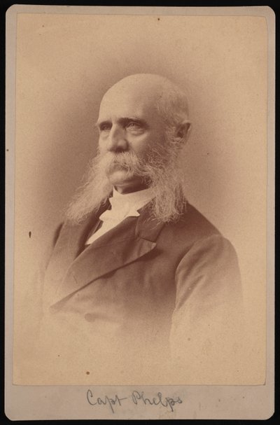 Portret Setha Ledyarda Phelpsa 1824-1885, 1878. autorstwa Samuel Montague Fassett