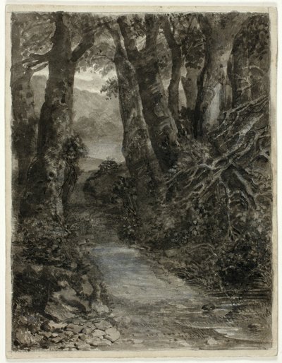 Badanie leśne autorstwa Samuel Palmer