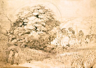 Ścieżka przez pole kukurydzy, ok. 1832-33 (akwarela na papierze) autorstwa Samuel Palmer