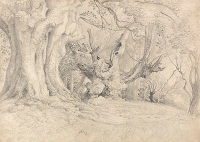 Starożytne drzewa, Lullingstone Park autorstwa Samuel Palmer