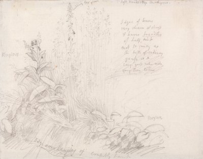 naparstnice autorstwa Samuel Palmer