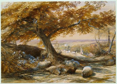 Owce w cieniu, ok. 1851 autorstwa Samuel Palmer