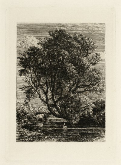 Wierzba autorstwa Samuel Palmer