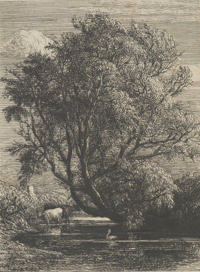 Wierzba, 1850. autorstwa Samuel Palmer
