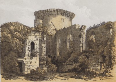 Zamek Bothwell (chromolitho) autorstwa Samuel Prout