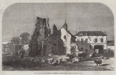Hougoumont, na polu Waterloo autorstwa Samuel Read
