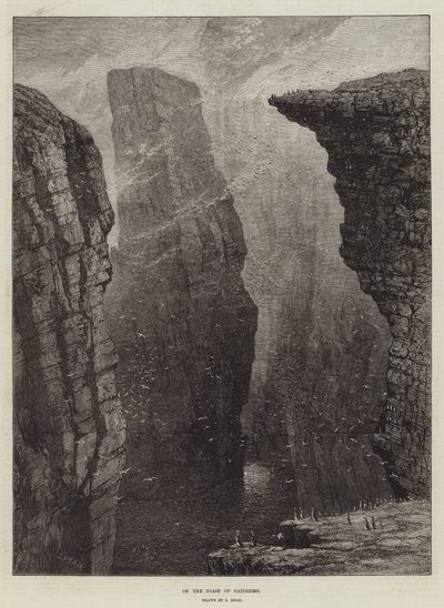 Na wybrzeżu Caithness autorstwa Samuel Read