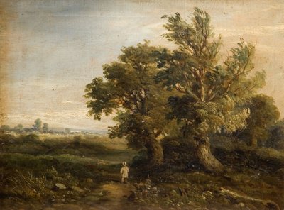 Krajobraz z drzewami, 1863. autorstwa Samuel Restell Lines