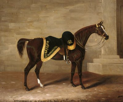 Kopenhaga, ładowarka księcia Wellington w Waterloo autorstwa Samuel Spode