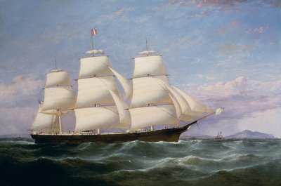 Kliper z Baltimore „Gołąb przewoźnika” autorstwa Samuel Walters