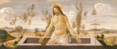 Chrystus w grobie autorstwa Sandro Botticelli