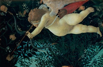 Szczegół Kupidyna, z tempery Primavera na detalu panelu 558 autorstwa Sandro Botticelli