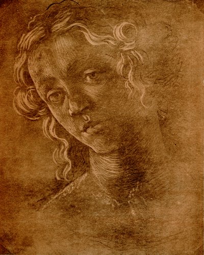 Głowa kobiety autorstwa Sandro Botticelli