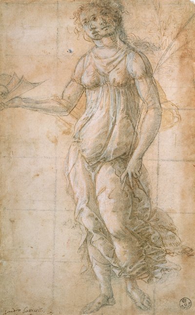 Studium Ateny (rysunek) autorstwa Sandro Botticelli