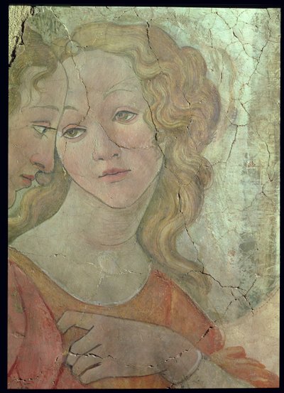 Wenus i trzy łaski ofiarowujące prezenty młodej dziewczynie, fragment jednej z łask, ok.1483 fragment fresku z 33760 zob. także 93891-2, 93894 autorstwa Sandro Botticelli