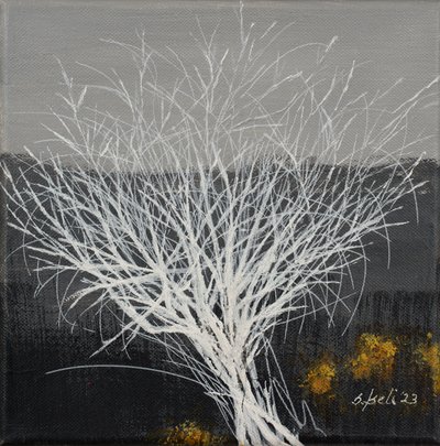  autorstwa Sandy Iseli