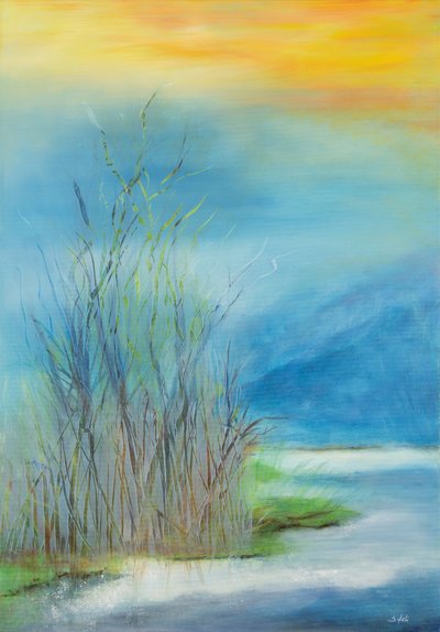  autorstwa Sandy Iseli