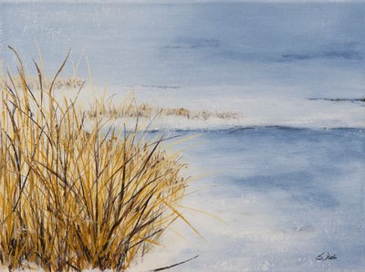  autorstwa Sandy Iseli