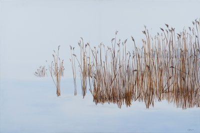  autorstwa Sandy Iseli