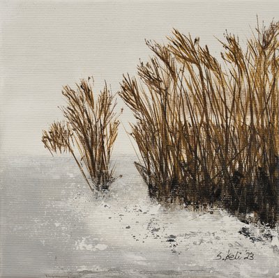  autorstwa Sandy Iseli