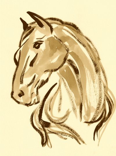 Majestatyczny portret konia autorstwa Santhosh ch