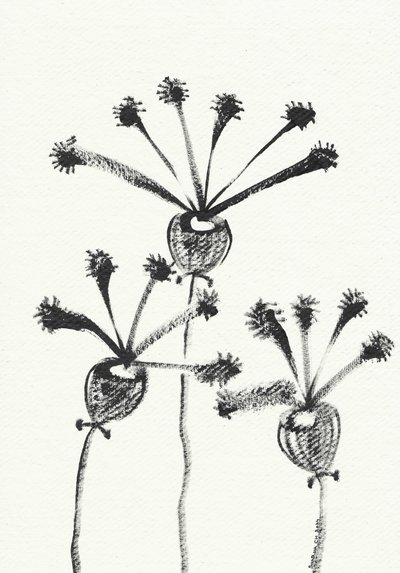 Minimalistyczny rysunek botaniczny autorstwa Santhosh ch