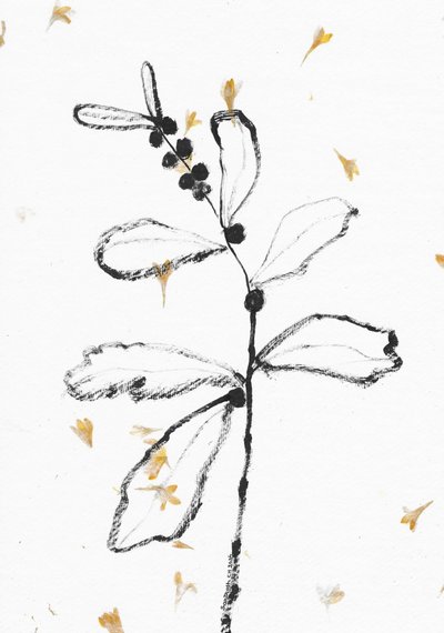 Minimalistyczny szkic botaniczny autorstwa Santhosh ch