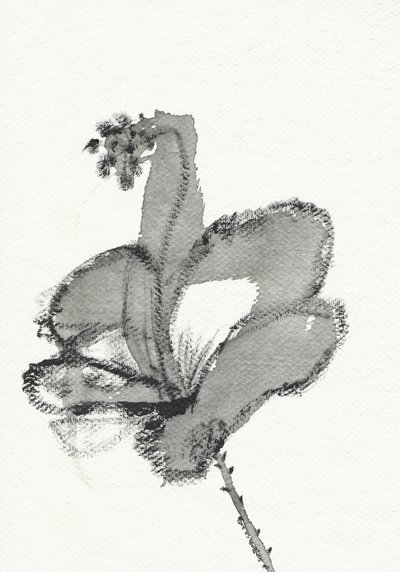 Monochromatyczne studium kwiatowe autorstwa Santhosh ch
