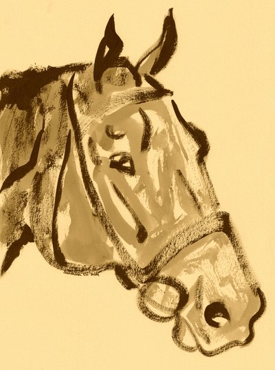 Portret szlachetnego konia autorstwa Santhosh ch
