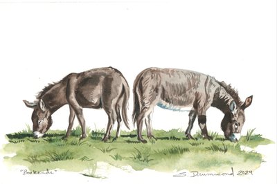 Bookends, 2024 (akwarela na papierze) autorstwa Sarah Drummond