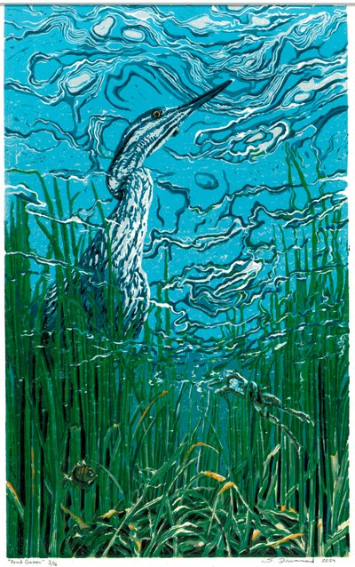 Pond Gazer, 2024 (linoryt) autorstwa Sarah Drummond